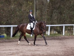 IMG_7940_web